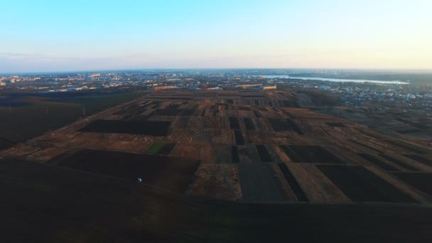 Blé vert. Vue aérienne. 4k 