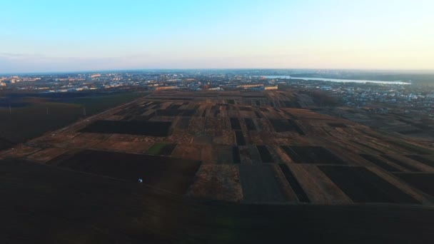 Green wheat. Aerial view. 4k — Stock Video