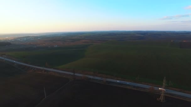 緑の小麦。空撮。4 k — ストック動画