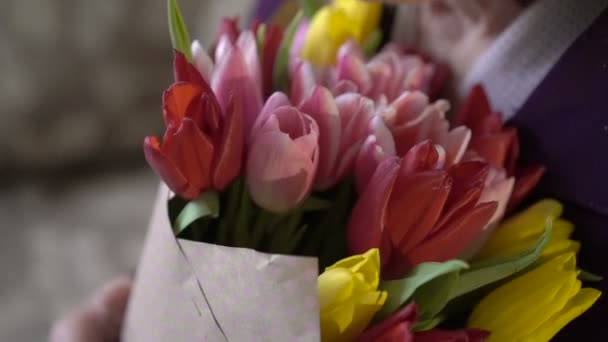 Nahaufnahme Strauß Tulpen in alter Frauenhand — Stockvideo
