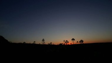 Gün batımında sarı tecavüz