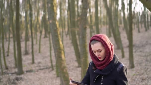 Meisje met een tablet in een zonnig bos. 4k — Stockvideo