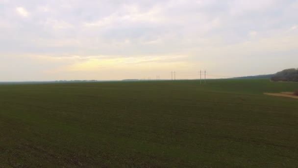 Vista aérea do campo com trigo — Vídeo de Stock