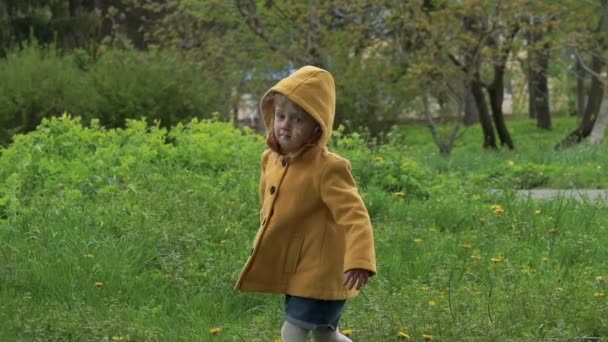 Little girl walking on the grass in the park. Slowly — Stock Video