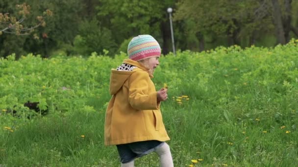 Una niña de tres años jugando y sosteniendo flores en un parque. Despacio. — Vídeo de stock