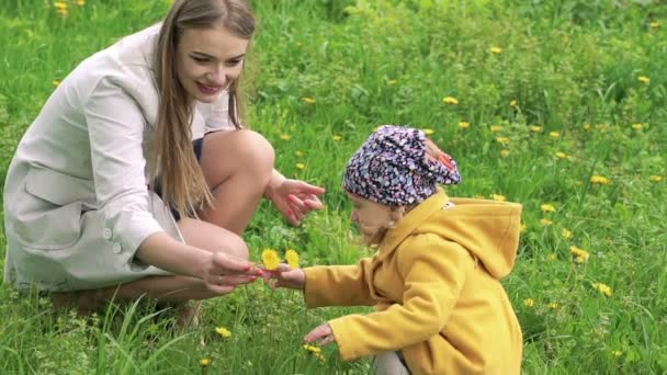 Мати і трирічна донька вирвуть квіти в парку. Повільно — стокове відео