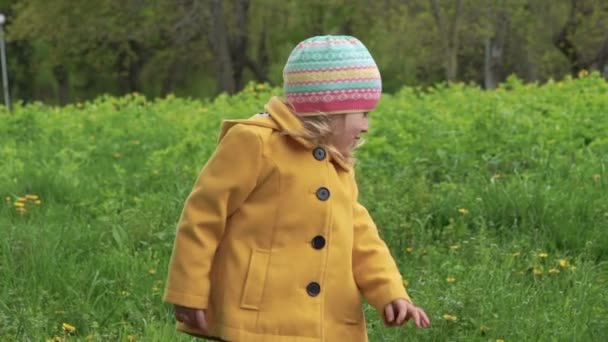 Bir üç yaşında oynamaya ve çiçek bir parkta koparma bir kız. Yavaş yavaş — Stok video