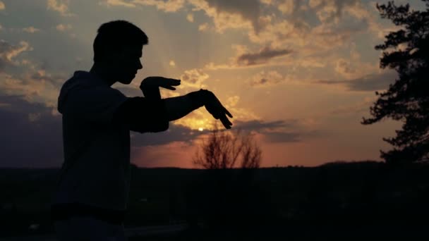 Jeune homme dans l'art de Wing Chunr sur fond de coucher de soleil. 4k — Video