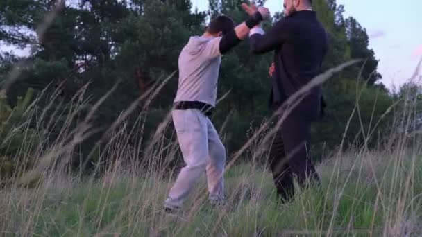 The fighting of Wing Chun between masters through the grass in 4k — Stock Video