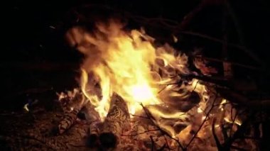 Gece kamp ateşi arka plan. 4k