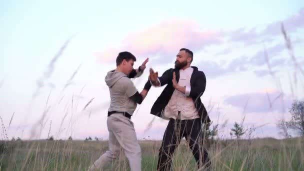 Eller Wing Chun sanatı taşır. 4k — Stok video