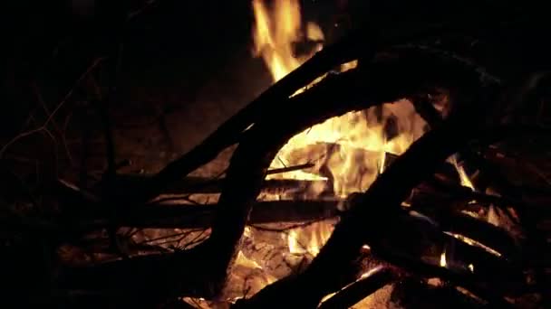 Vreugdevuur branden door takken op de achtergrond van de nacht. 4k — Stockvideo