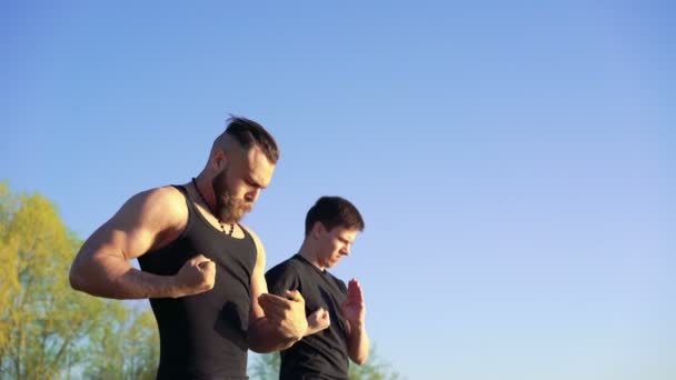 Wing Chun arasında master ve takipçisi gökyüzü arka plan üzerinde eğitim. 4k — Stok video