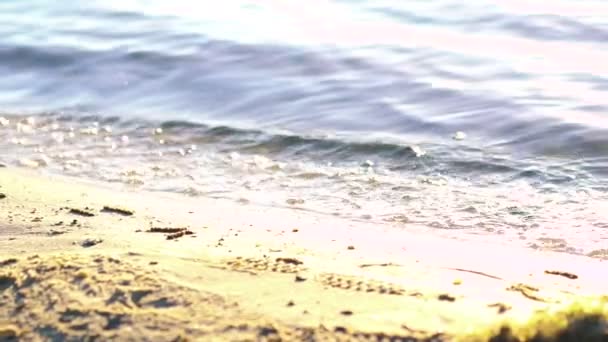 Gros plan de la côte avec des vagues d'eau cristalline de rivière, ensoleillé. Doucement. — Video