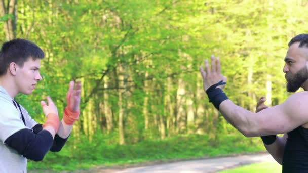 Wing Chun prestanda mellan master och anhängare på naturen. Långsamt — Stockvideo