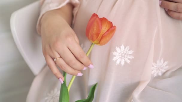 Närbild av gravida hand hålla tulip och rama in magen med den. 4k — Stockvideo