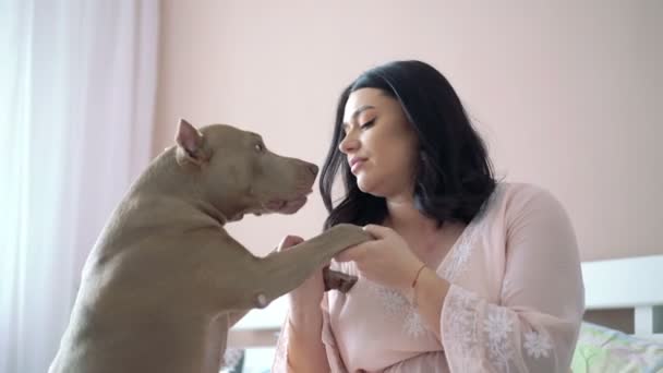 Mujer embarazada sosteniendo patas de perros y acariciándolo en el dormitorio. 4K — Vídeos de Stock