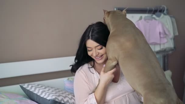 Έγκυος γυναίκα που παίζει με το κατοικίδιο ζώο το σκυλί σε ένα κρεβάτι. 4k — Αρχείο Βίντεο