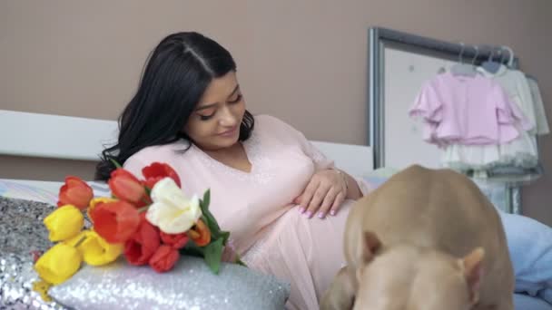 Pet pit bull resting near pregnant housewife on bed. 4k — Stock Video