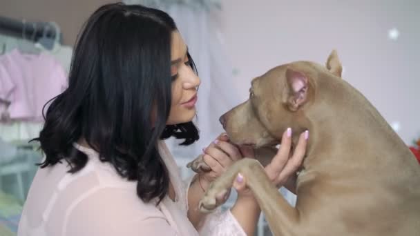 Bardzo ciąży posiadania psów łapy, przenoszenia go, dotykając w sypialni. 4k — Wideo stockowe