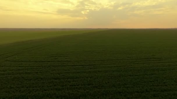 Vista aérea do pôr do sol sobre um fundo de campos verdes e horizonte — Vídeo de Stock