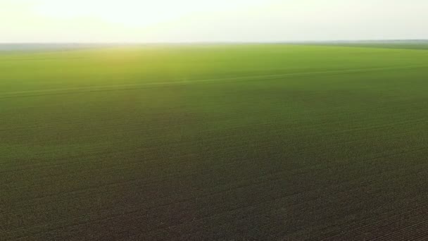 Letecký pohled na západ slunce na pozadí jasně zelených polí a horizont — Stock video