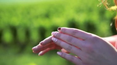 Uğur böceği yeşil yaprakları arka planda 4 k yandan kadının devam ediyor