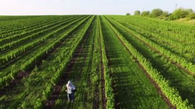 4 k yeşil alan adamın havadan görünümü çalışır