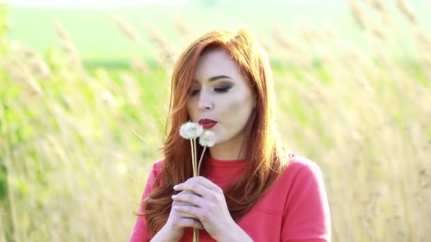 Bella ragazza con i capelli dorati che soffia il dente di leone sullo sfondo. Lentamente. — Video Stock