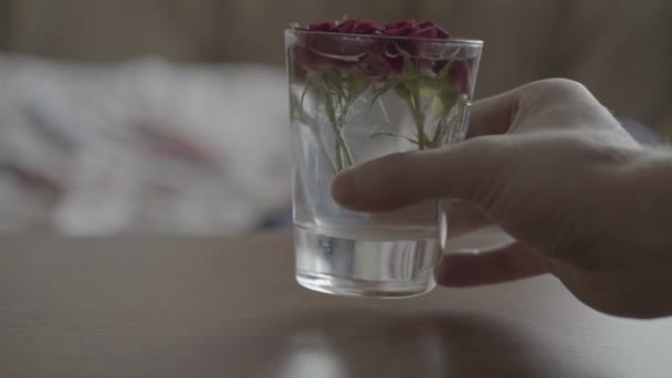 Verre avec des roses sur la table — Video