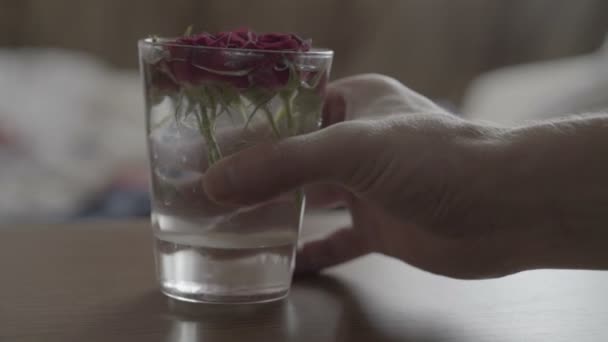 Verre avec des roses sur la table — Video