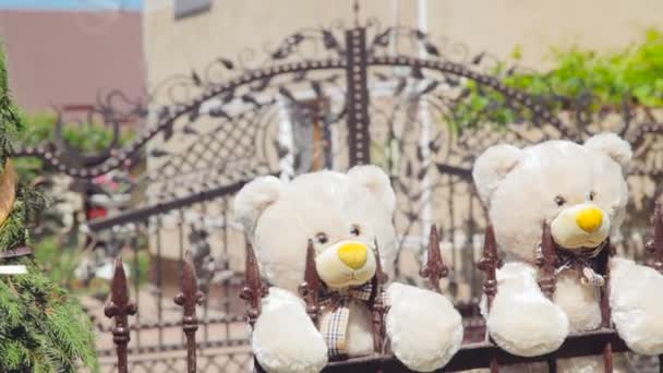 Двоє плюшевих ведмедів на паркані в день весілля — стокове відео
