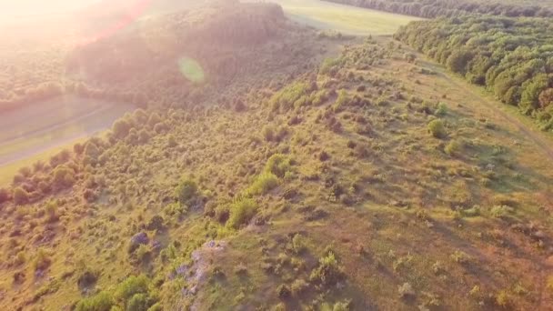 Vista aérea: Paisagem incrível com árvores, colinas, vale — Vídeo de Stock