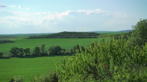 Зелені гори, скелі, ландшафт полів — стокове відео