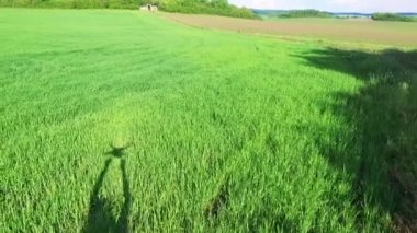 Kopters uçuş kadar hava görünümünü eller buğday alanında mans