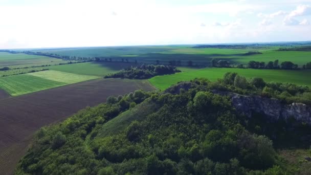 Vue aérienne de la roche verte au milieu des champs — Video