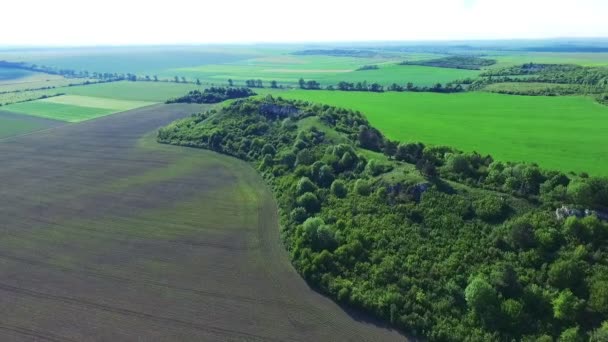 フィールドの木の茂みに素晴らしい緑色岩の空撮 — ストック動画