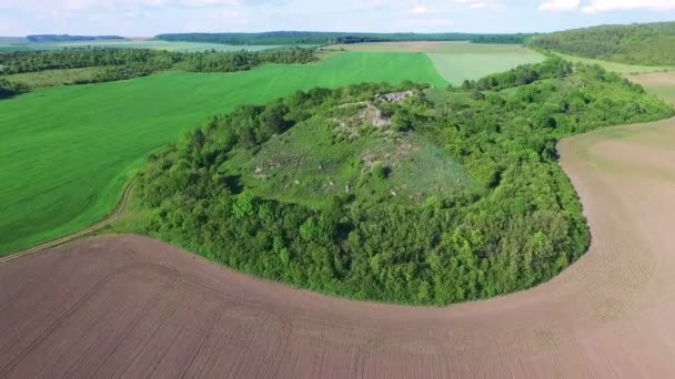 Luchtfoto van groen rots eiland in het midden van de velden — Stockvideo
