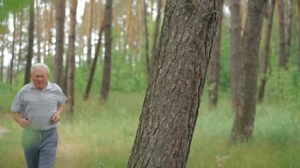 Starý muž běží v parku a pak odpočívá u kmene stromu a při pohledu na fotoaparát — Stock video