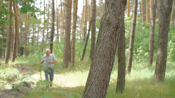 Velho correndo ao ar livre em uma natureza de floresta conífera — Vídeo de Stock