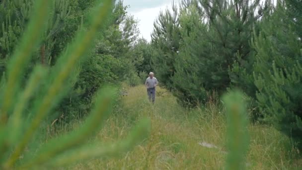 Oude man joggen buiten in de natuur van een naaldhout bos — Stockvideo