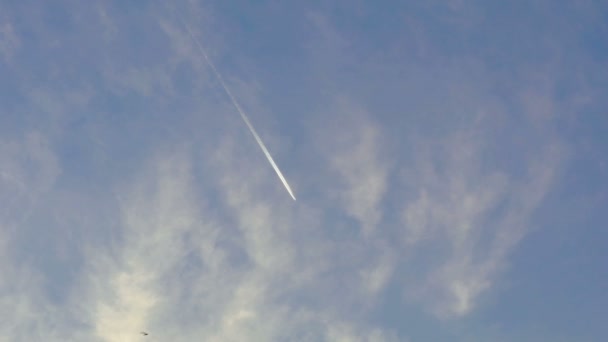Flygplan kondensstrimmor över klarblå himmel, fåglar som flyger. Slow motion — Stockvideo