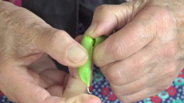 Old hands shelling green peas — Stock Video