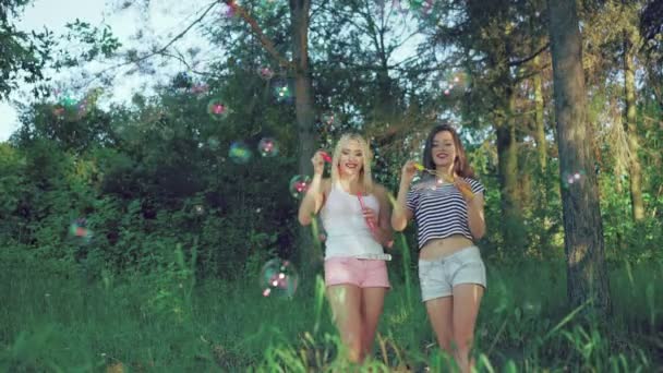 Meninas felizes soprando bolhas de sabão no parque de verão. 4k — Vídeo de Stock