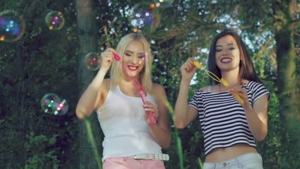 Ragazze felici che soffiano bolle di sapone nel parco estivo — Video Stock