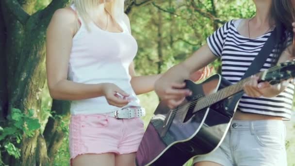 Holka hraje na kytaru v parku a přátelé potlesk. Pomalu — Stock video