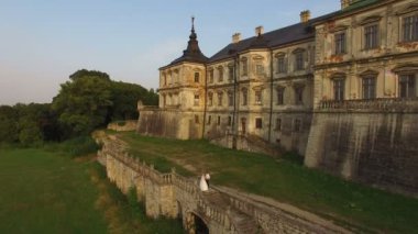 Havadan görünümü: güzel evlilik çift kale arka plan üzerinde merdivenlerde. 4k