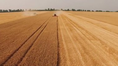 Hava güçlü birleştirme görünümünü buğday alanlarına reaps. 4k
