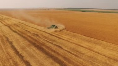 Buğday hasat modern birleştirmek hasat 4 k ile havadan görünümü