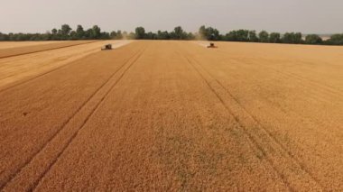 Hava görünümünü 4 k hasat buğday alanında birleştirir